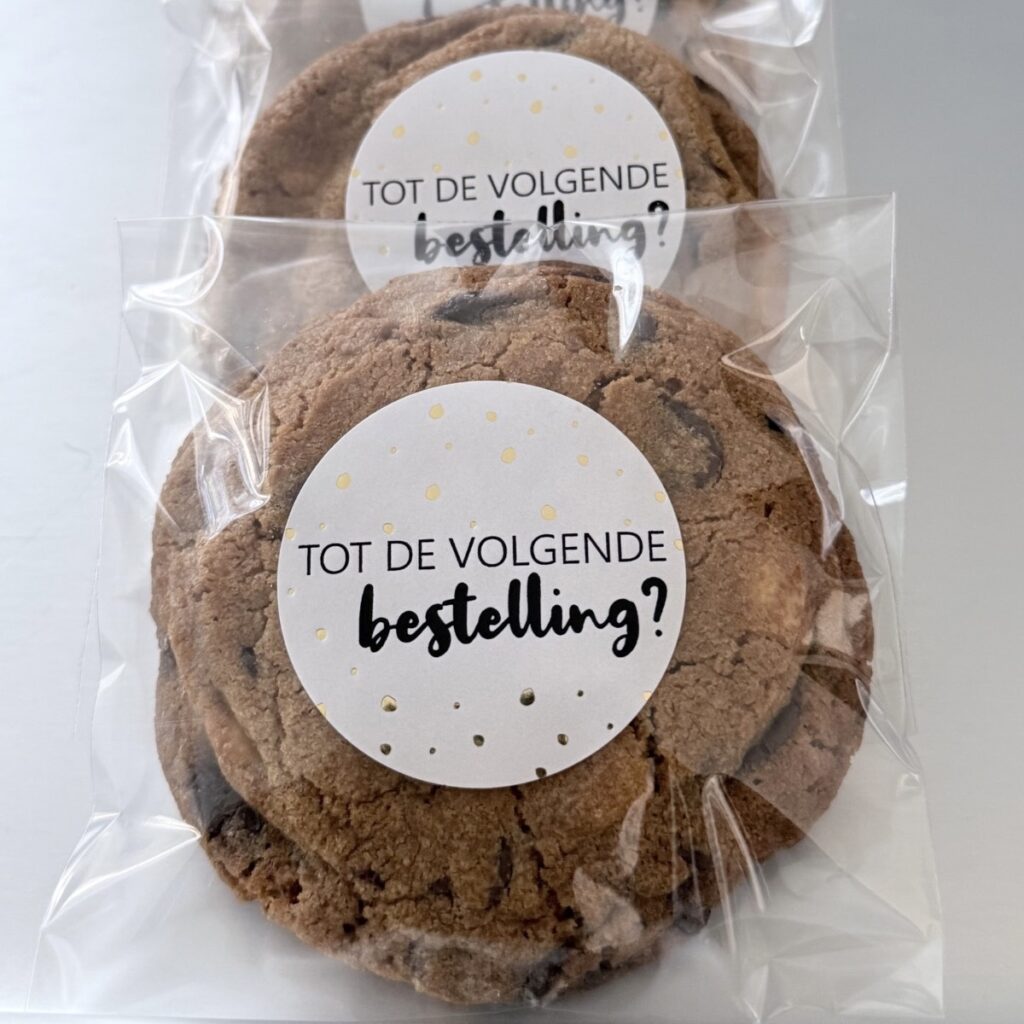 Dubbele Chocolade Chip